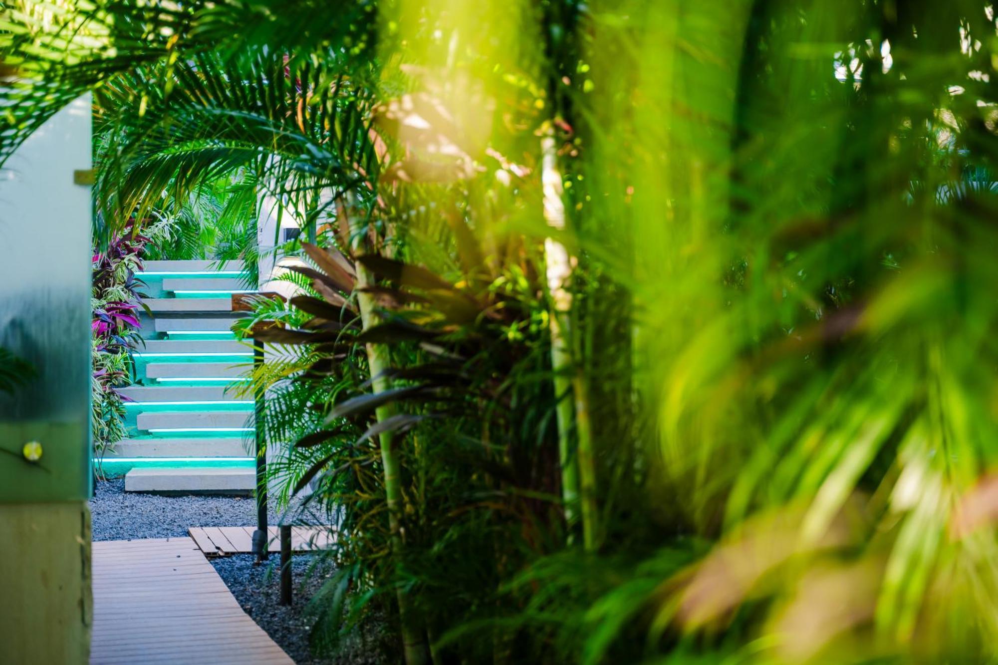 Mvillas Luxury Villas With Beach Club Access & Sauna タマリンド エクステリア 写真